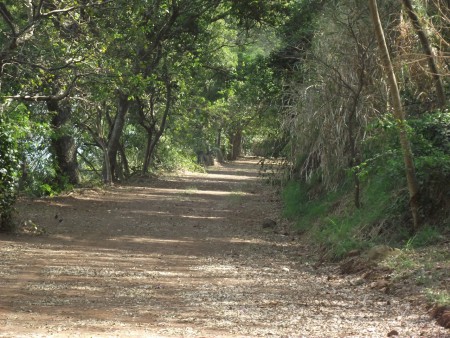 Estrada Beira Rio 