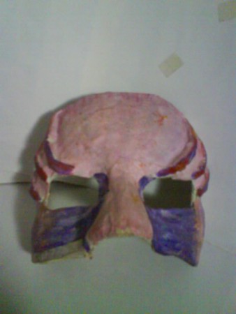 Mascara Atadura Gessada. 