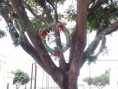 /album/vila-ribeiro/img00048-jpg/