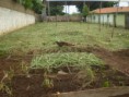 /album/horta-comunitaria/p1010023-jpg/