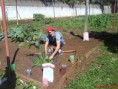 /album/horta-comunitaria/dsc04441-jpg/