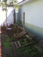 /album/horta-comunitaria/dsc04446-jpg/