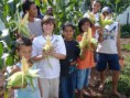 /album/horta-comunitaria/colheita-jpg/